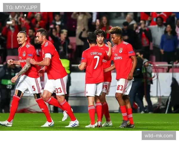 本菲卡赛季回顾：高光与困境交织，未来走向引关注