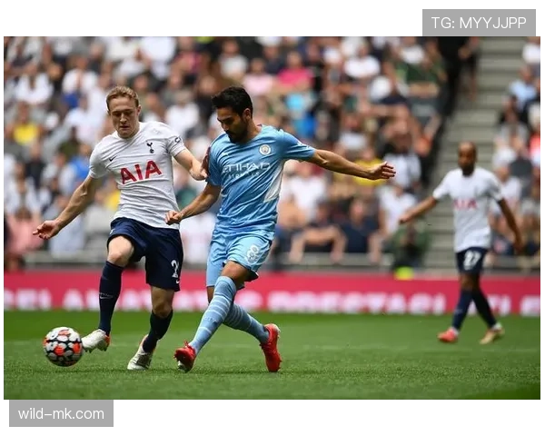 英超热刺转会窗引援策略与阵容调整分析 英超热刺转会窗引援策略与阵容调整分析