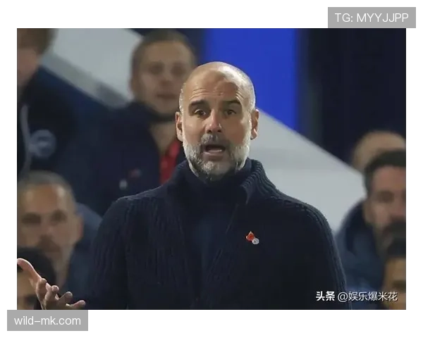 维尔茨上限是否被夸大？潜力与实际表现差距分析